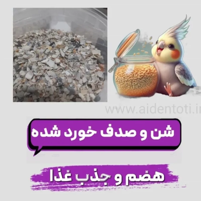 شن و صدف خورد شده درجه یک طوطیسانان و پرندگان زینتی
