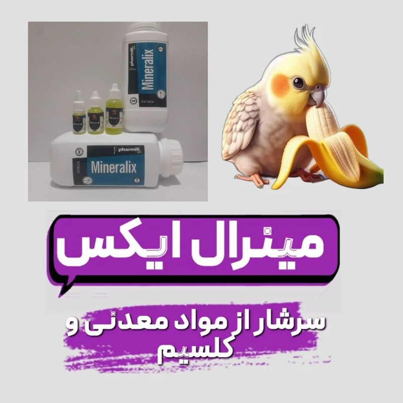 مکمل تقویتی مینرال ایکس طوطی