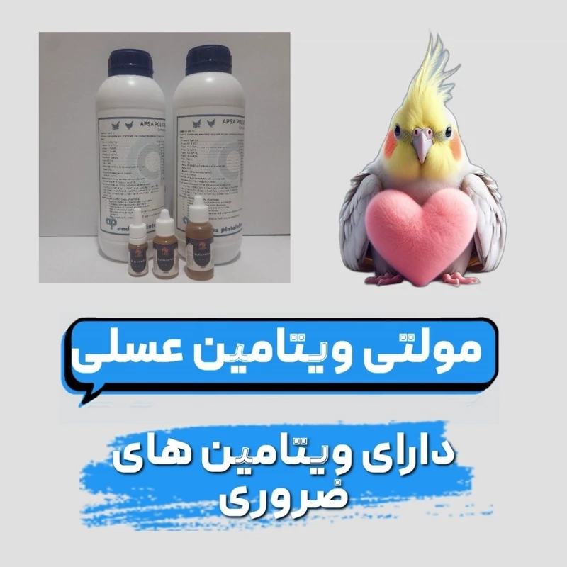 مکمل تقویتی مولتی ویتامین عسلی پرندگان