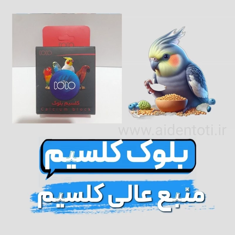 بلوک کلسیم درجه یک طوطیسانان