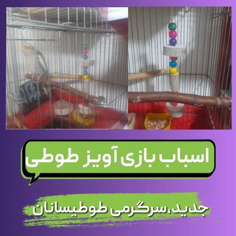 اسباب بازی چوبی طوطی کیفیت عالی و جدید