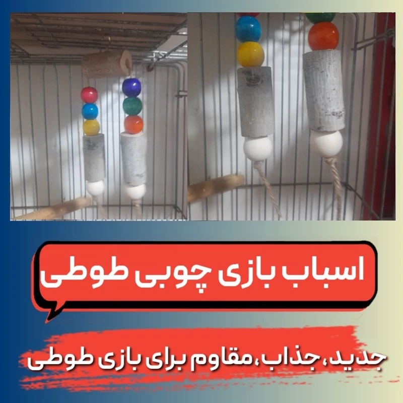 اسباب بازی و سرگرمی طوطی با کیفیت و چوبی