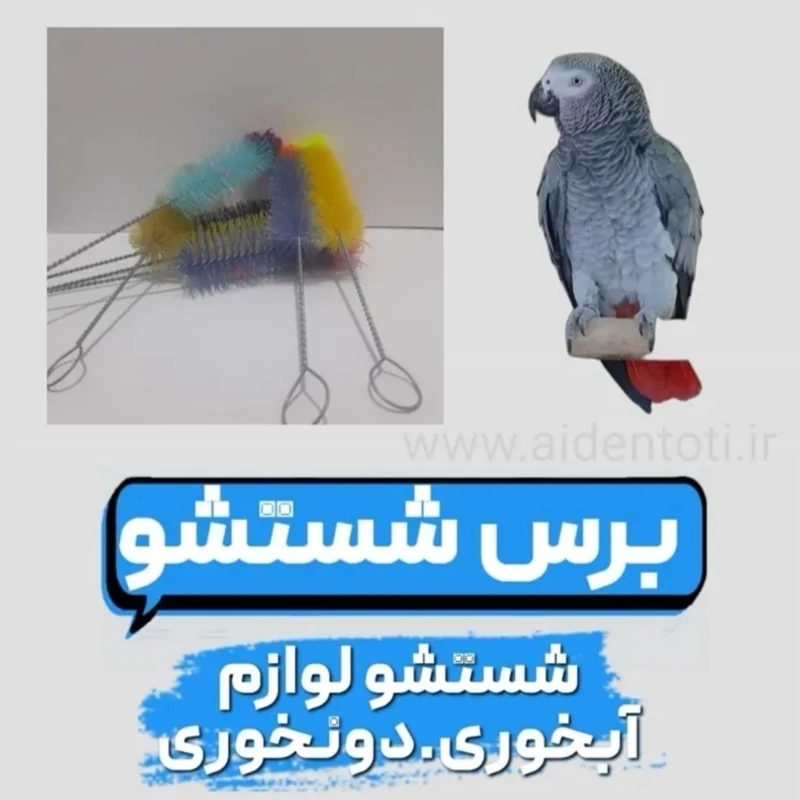 برس شستشو لوازم قفس طوطی و پرندگان