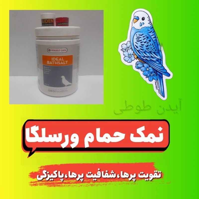 نمک حمام ورسلگان پرندگان زینتی