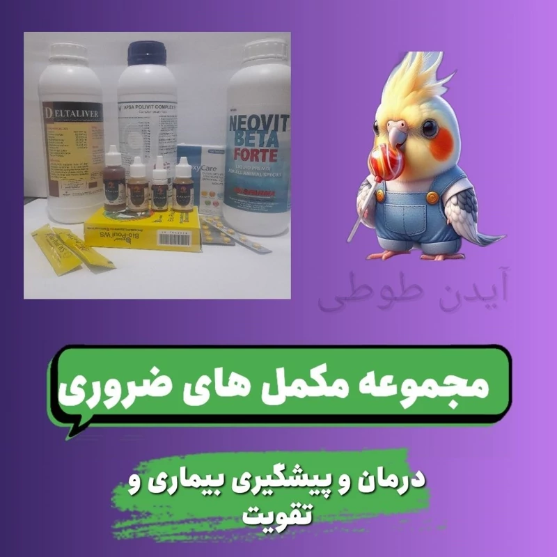 مجموعه مکمل های ضروری طوطیسانان