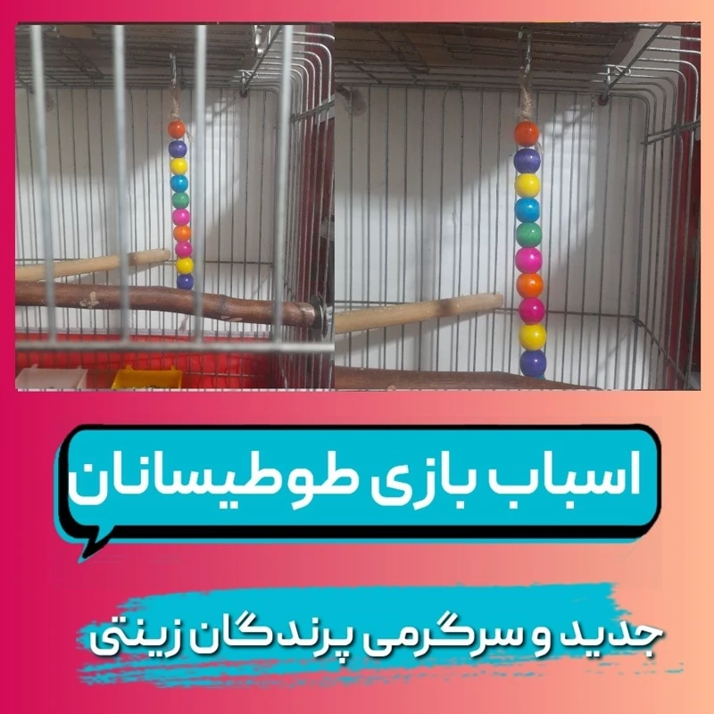 اسباب بازی اویز طوطی چوبی و جدید پرطرفدار