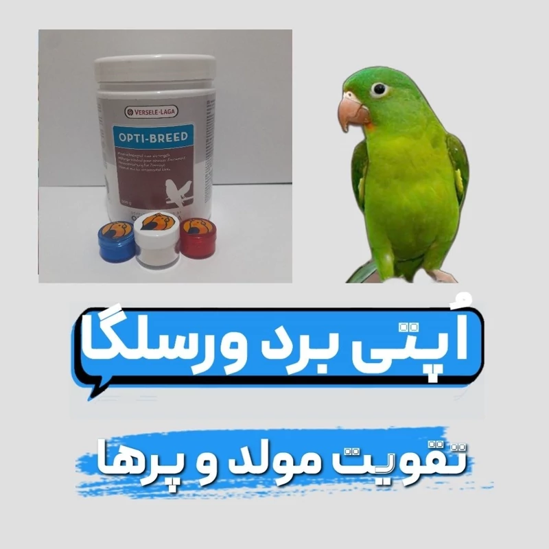 مکمل تقویتی اپتی برد طوطیسانان