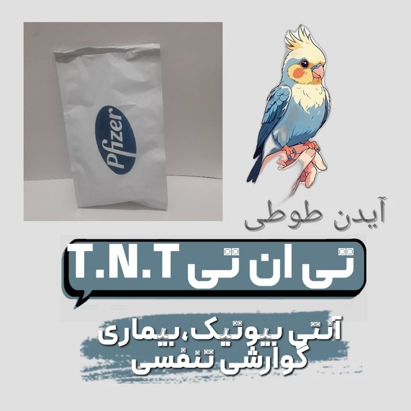 مکمل آنتی بیوتیک تی ان تی پرندگان