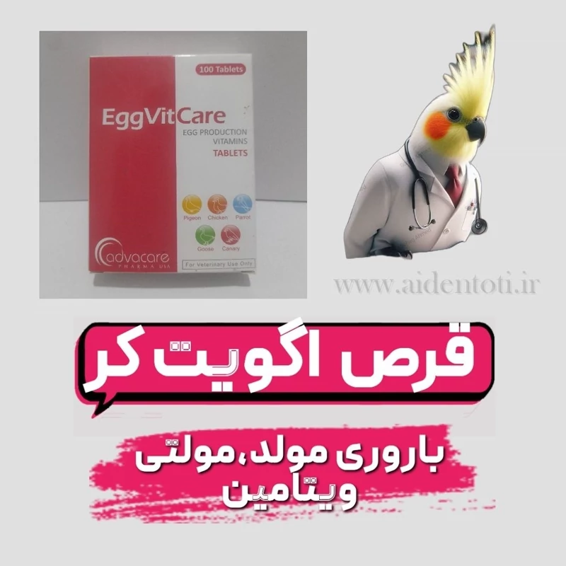 قرص تقویت نطفه اگویت کر طوطیسانان