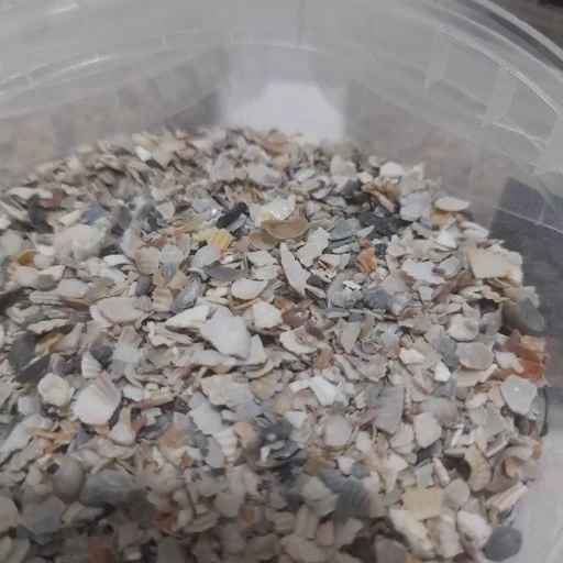 شن و صدف خورد شده درجه یک طوطیسانان و پرندگان زینتی - Image 3