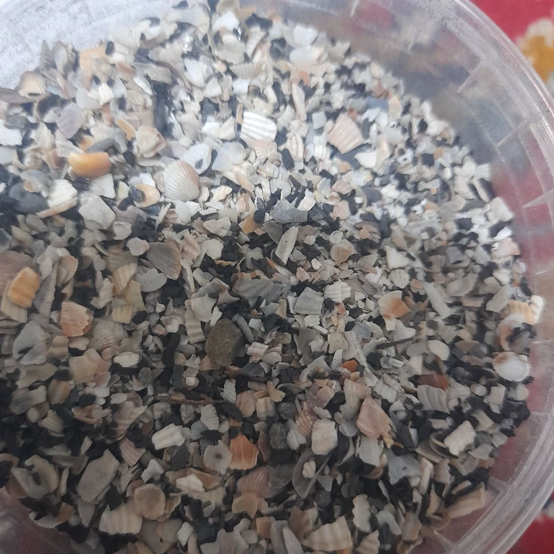 شن و صدف و زغال مخلوط طوطی - Image 2