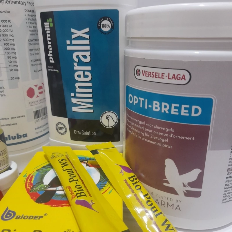 مجموعه مکمل های پرسازی و تقویت پرهای طوطیسانان - Image 4