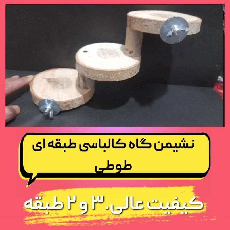 نشیمنگاه طبقه ای طوطیسانان و پرندگان زینتی