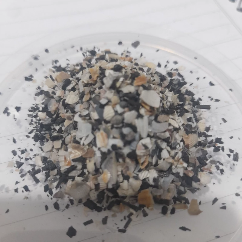 شن و صدف و زغال مخلوط طوطی - Image 4