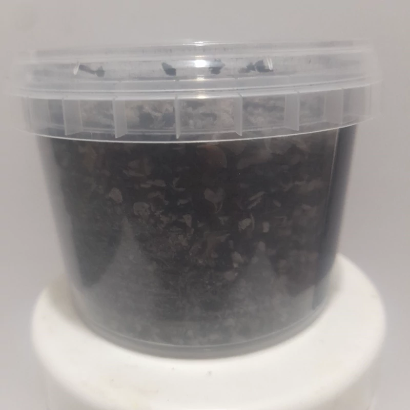 شن و صدف و زغال مخلوط طوطی - Image 5