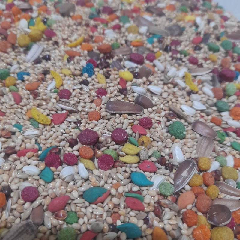 دون مخلوط جفت جوجه دار طوطیسانان - Image 5