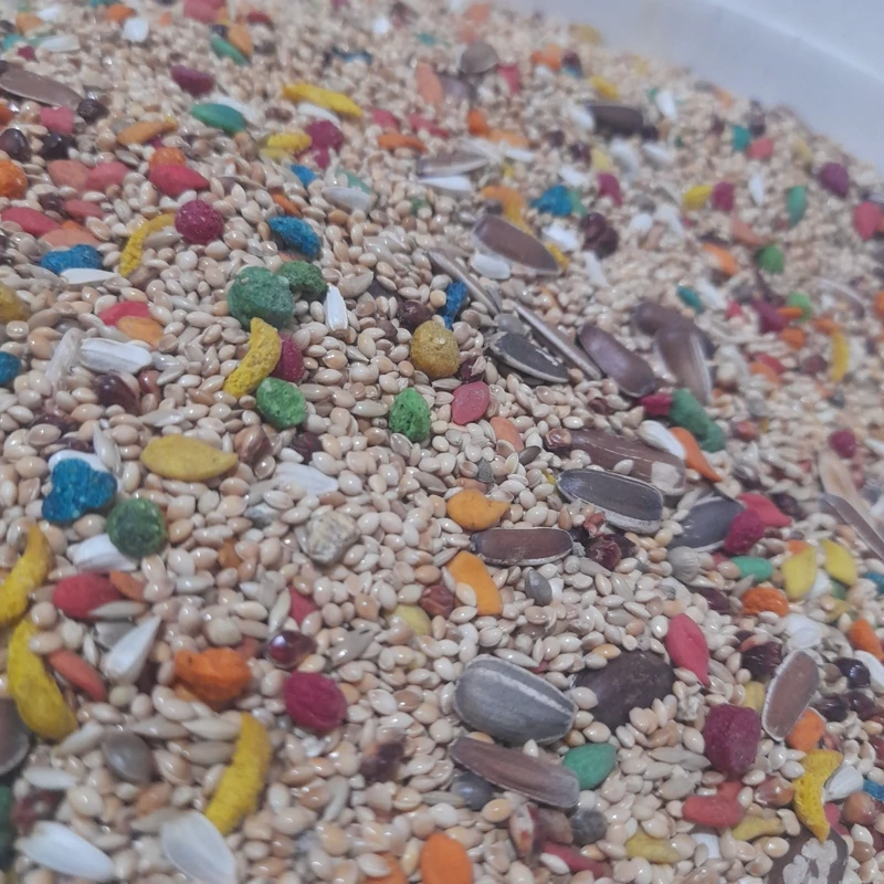 دون مخلوط جفت جوجه دار طوطیسانان - Image 6