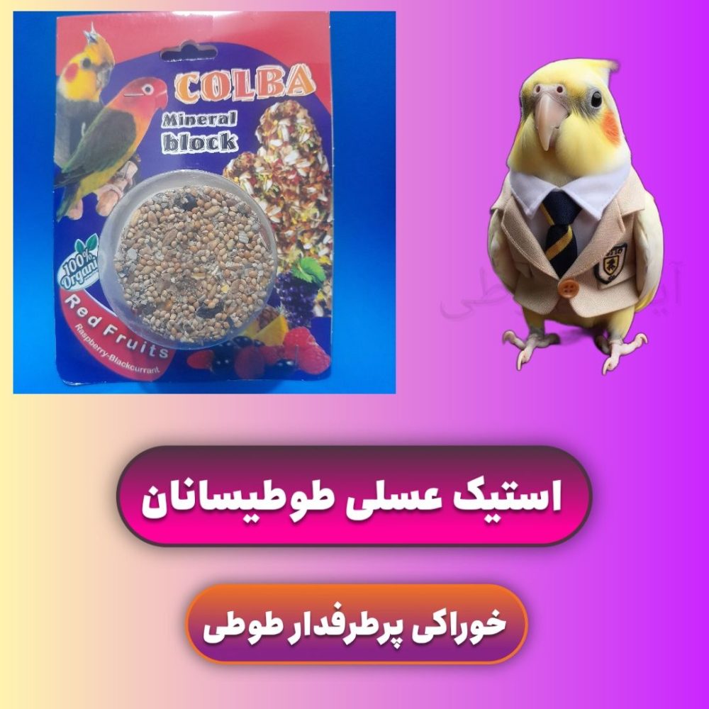 استیک عسلی و تشویقی پرندگان