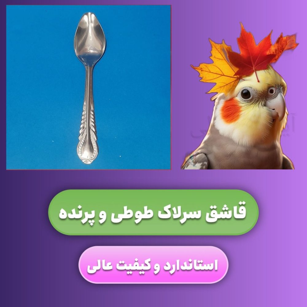 قاشق مخصوص سرلاک دادن به طوطی