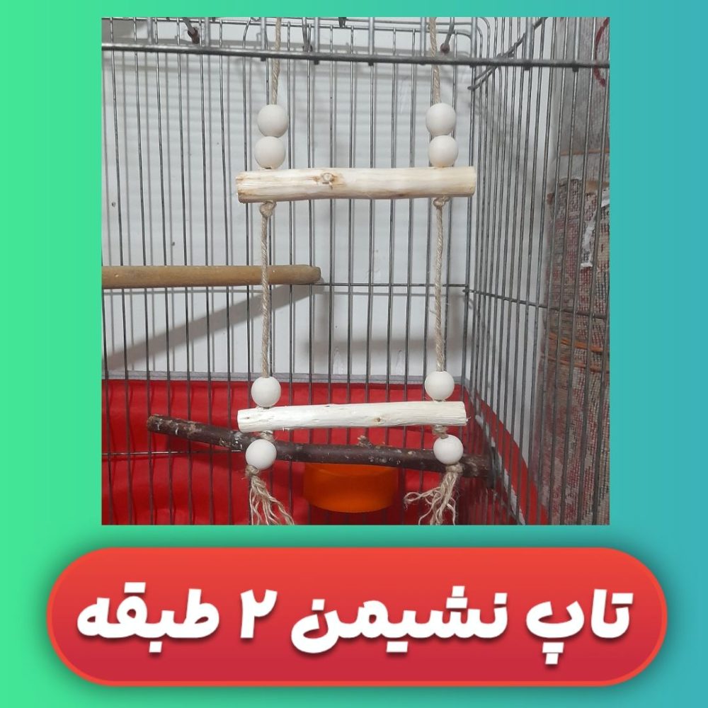 تاپ بازی نشیمن 2 طبقه طوطی