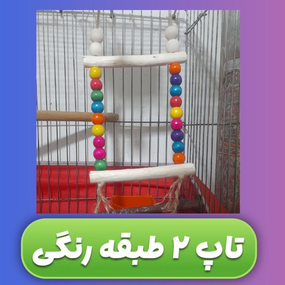 تاپ بازی دو طبقه طوطیسانان