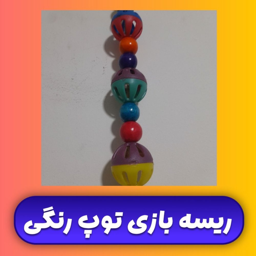 بازی ریسه توپ رنگی طوطی