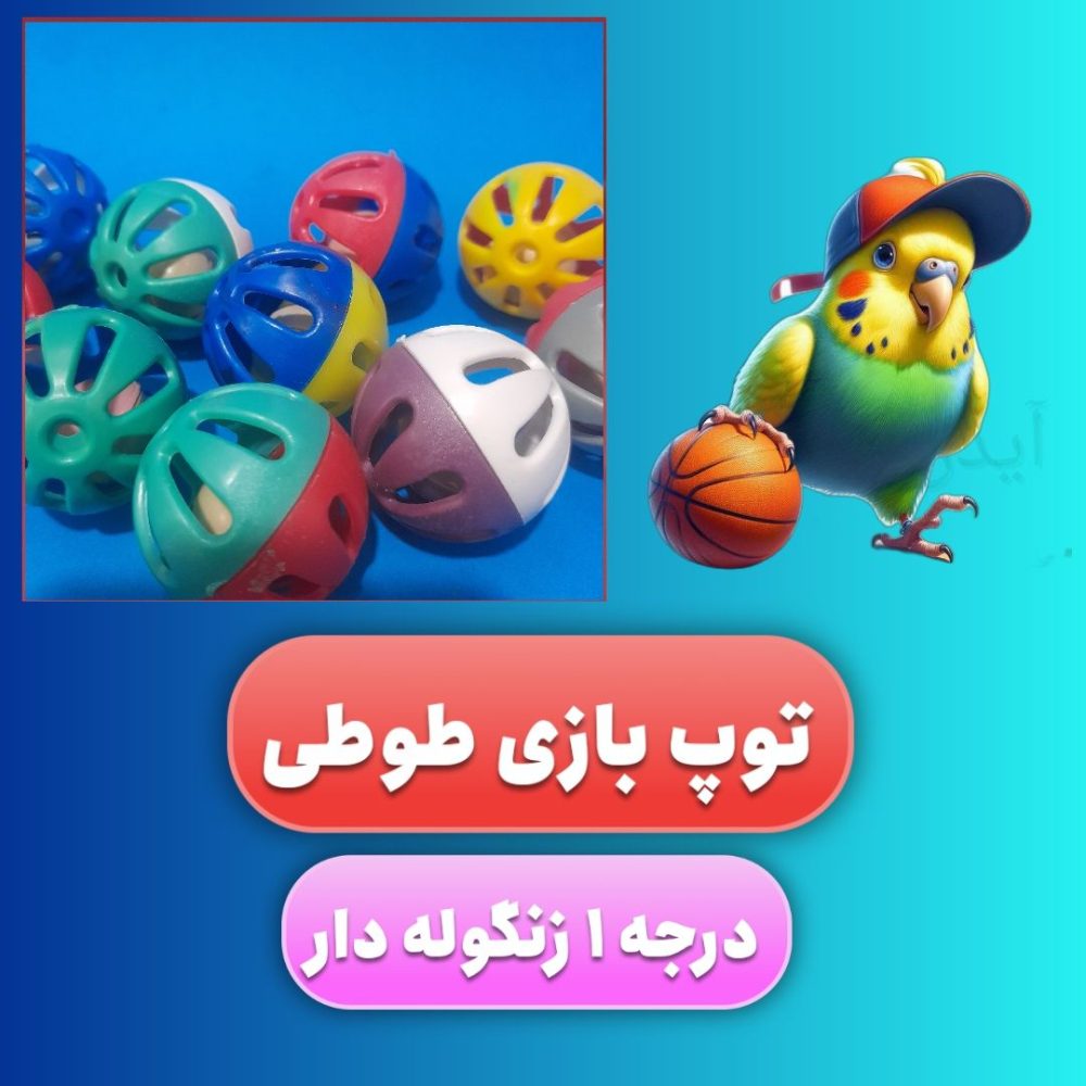 توپ بازی زنگوله دار طوطی و پرندگان