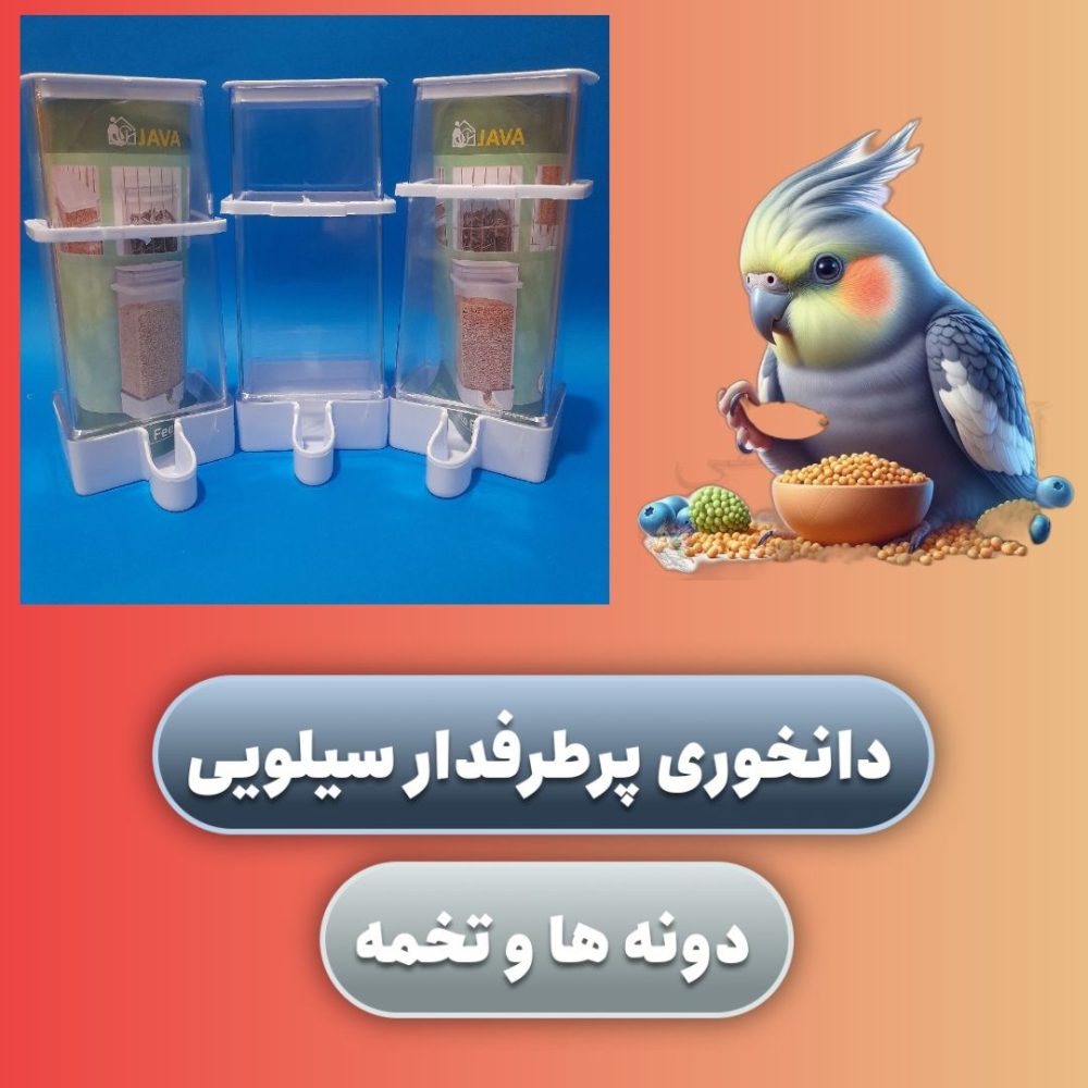 دونخوری سیلویی پرطرفدار طوطیسانان