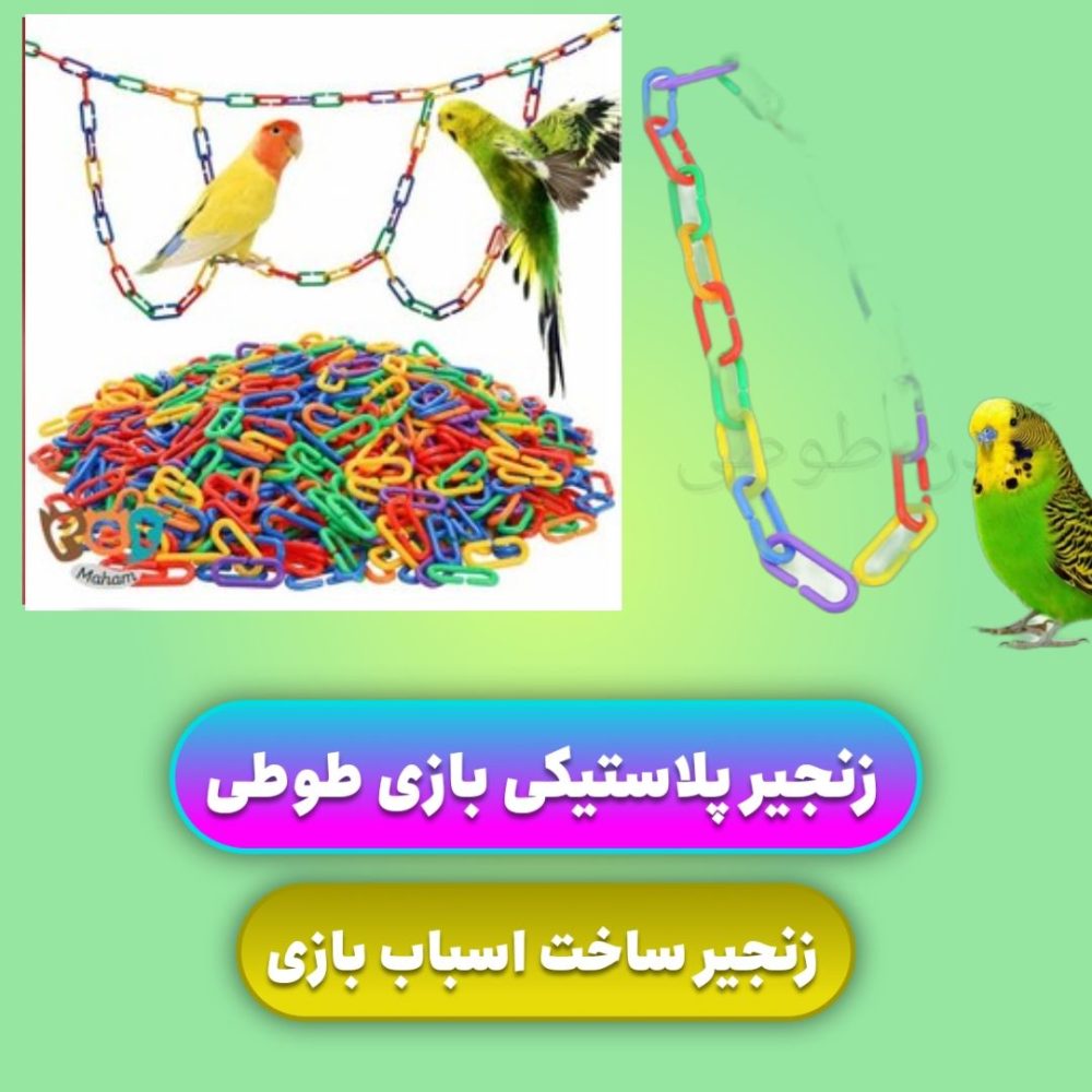 زنجیر پلاستیکی جاوا بازی طوطی و پرندگان