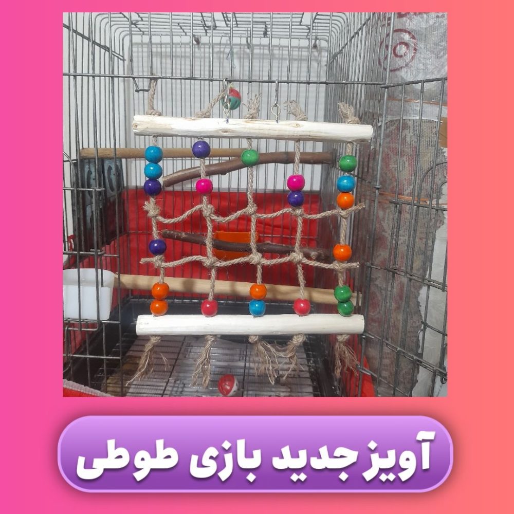 آویز جدید بازی طوطیسانان