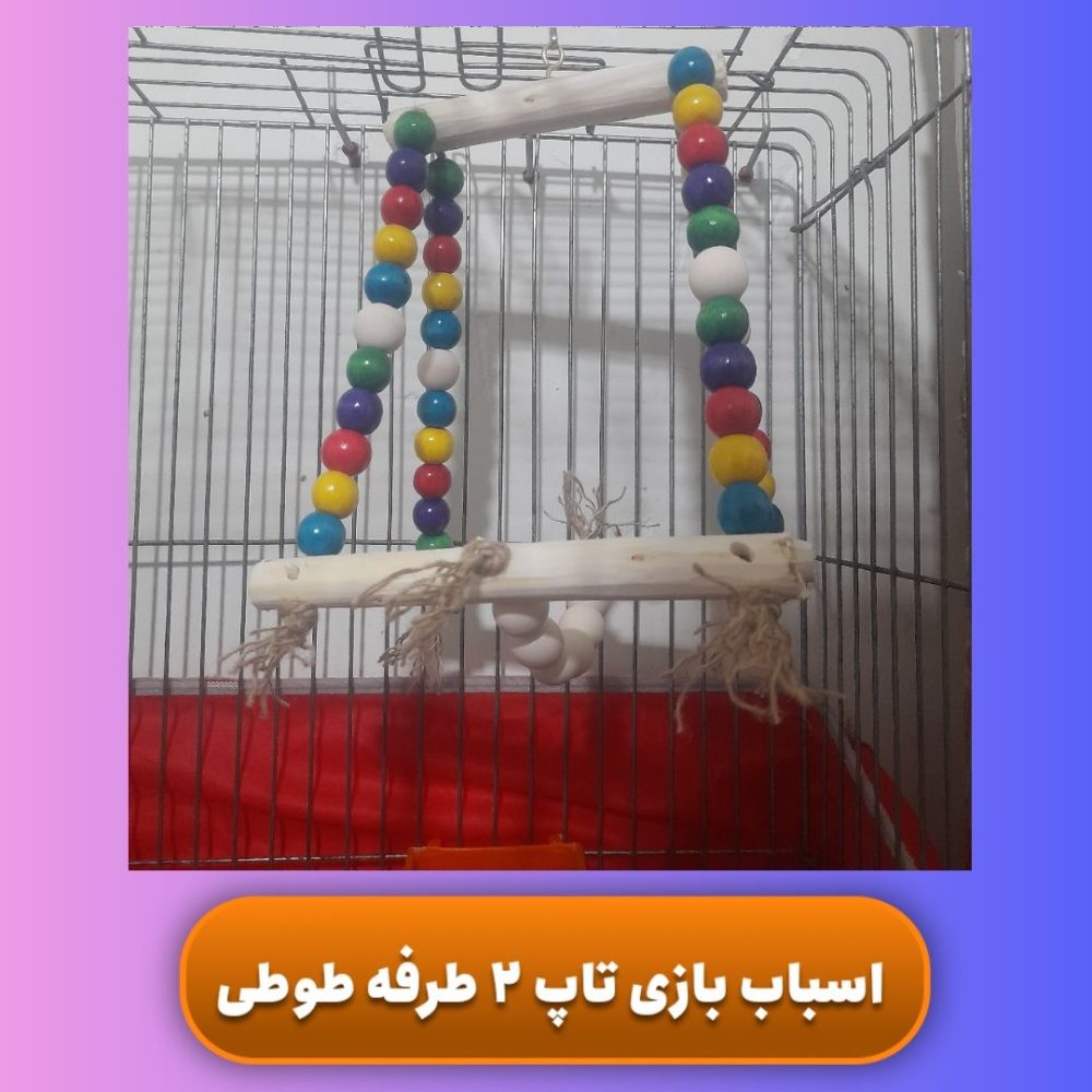 اسباب بازی تاپ 2 طرفه طوطی خانگی