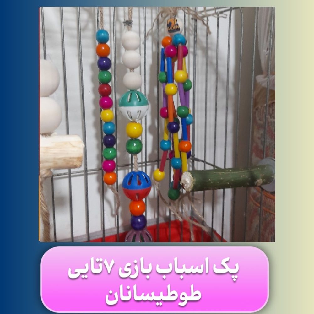 پک 7 تایی اسباب بازی طوطیسانان