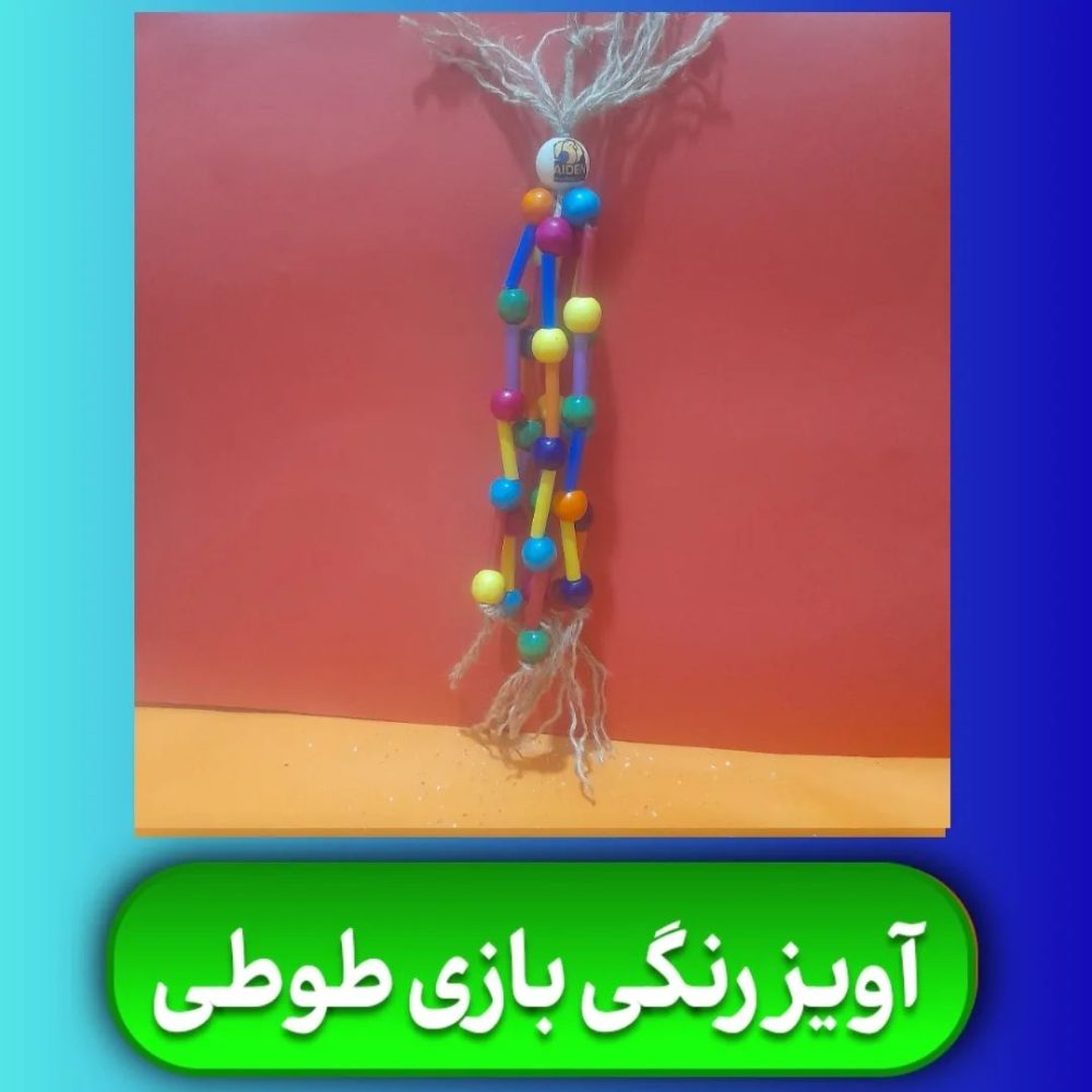 آویز رنگی بازی طوطی خانگی